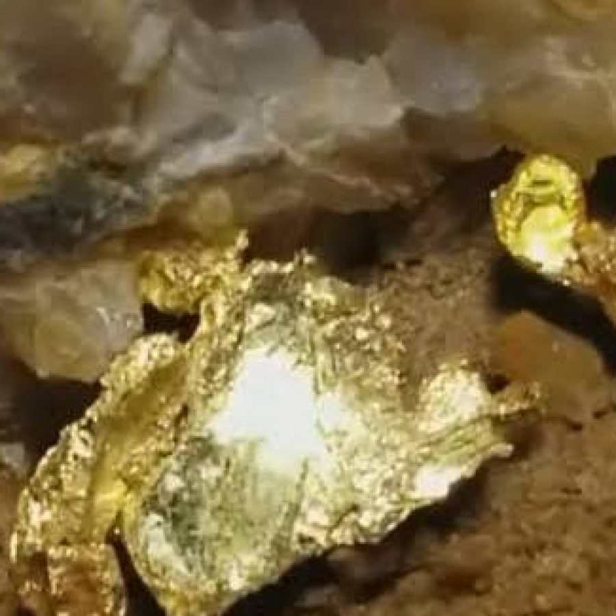 OURO NO HUAMBO (2)